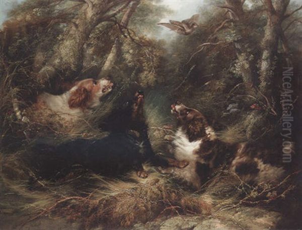 Spaniels Flushing Out A Woodcock by George Armfield