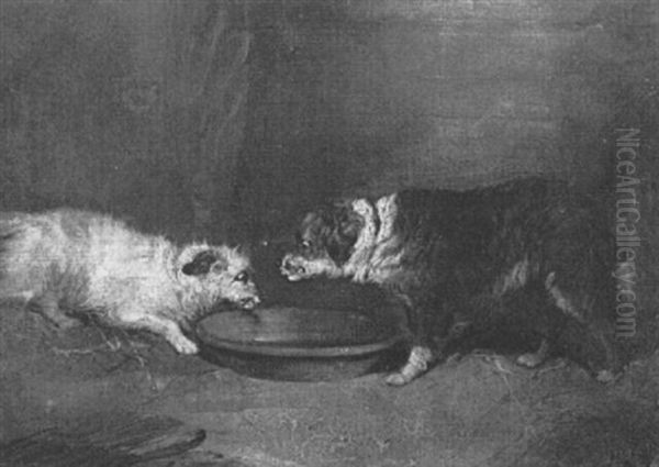 Dogs At Their Dish Oil Painting by George Armfield