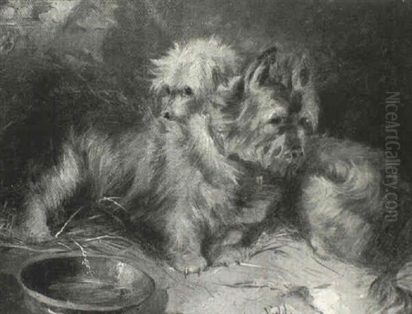 Terriers By A Bowl Oil Painting by George Armfield