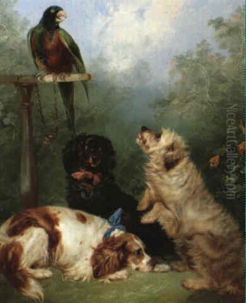 Sceneri Med Tre Hunde Og Papeg+je Pa Sin Pind Oil Painting by George Armfield