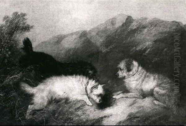 Terriers In A Warren Oil Painting by George Armfield