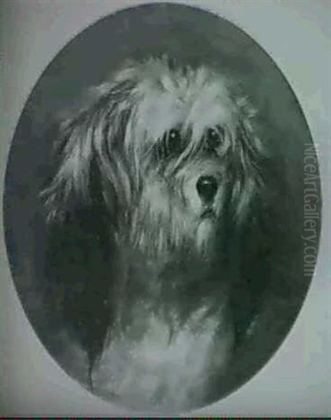 Head Of A Terrier Oil Painting by George Armfield