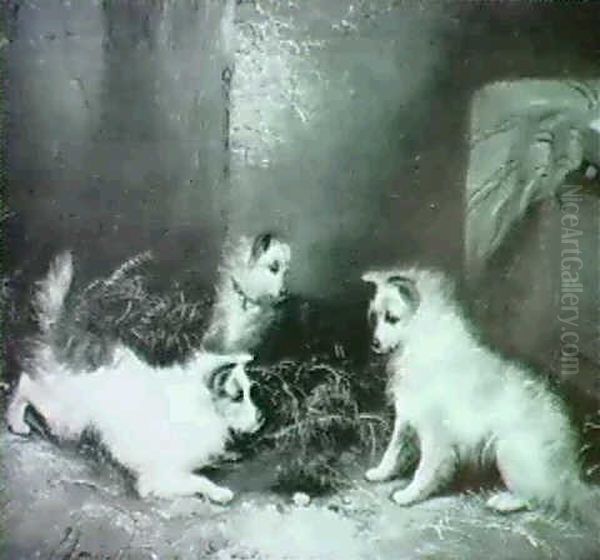 Three Dogs Ratting by George Armfield