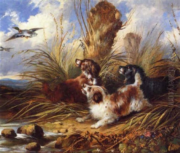 Hunde Und Wildenten by George Armfield