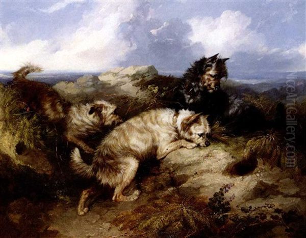 Three Cairns Rabbiting Oil Painting by George Armfield