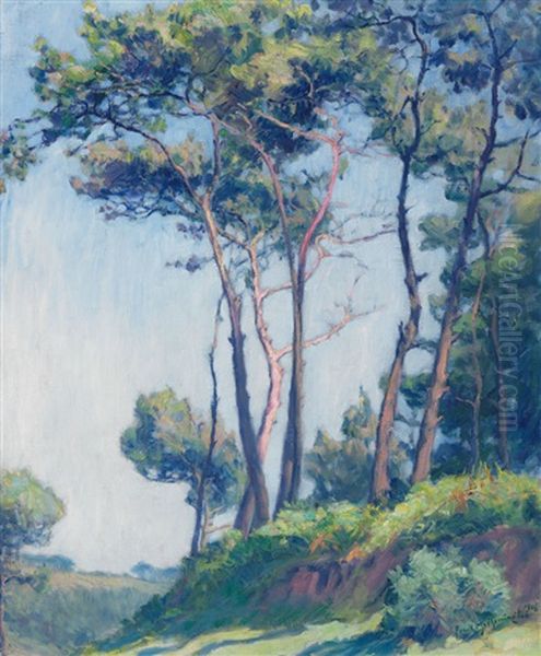 Les Pins A St. Efflam Oil Painting by Frank Milton Armington