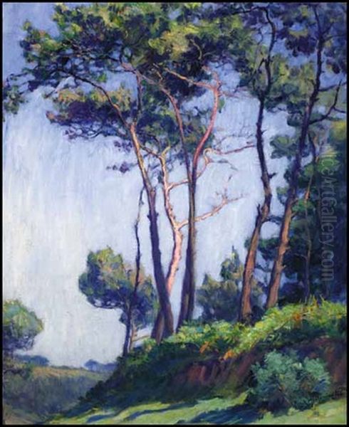 Les Pins A St. Efflam Oil Painting by Frank Milton Armington