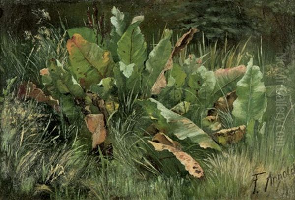 Wiesenstuck Mit Sauerampfer Oil Painting by Friedrich Arnold