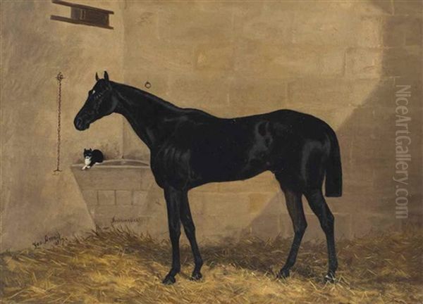 Cheval De Course Noir Et Chat Noir Et Blanc Dans Un Box Oil Painting by George Arnull