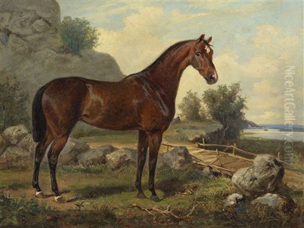 Cavallo by Johan Georg Arsenius