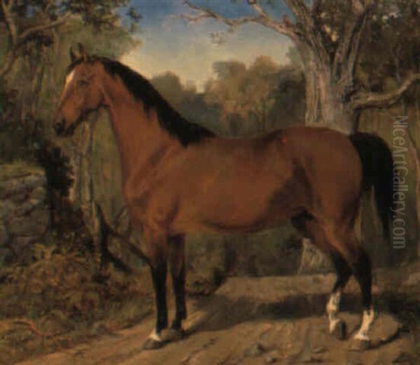 Hastportratt Oil Painting by Johan Georg Arsenius