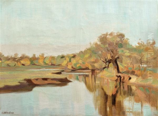 Peisaj Din Delta Oil Painting by Constantin Artachino