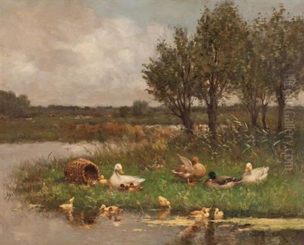 Ducklings At Play Oil Painting by David Adolf Constant Artz