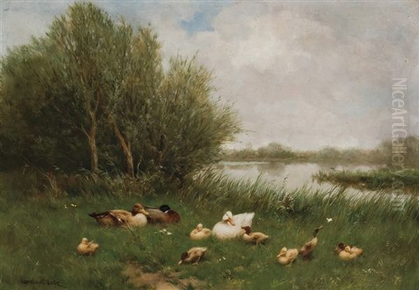 A Brace Of Mallards Oil Painting by David Adolf Constant Artz