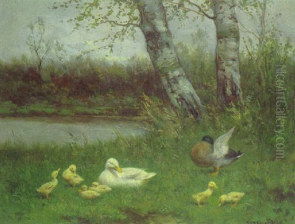 Entenfamilie Am Wasser Oil Painting by David Adolf Constant Artz