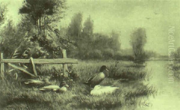 Ducks On A River Bank Oil Painting by David Adolf Constant Artz