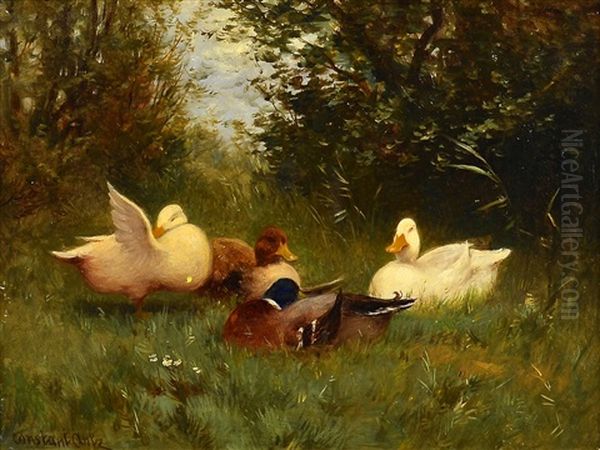 Duck Painting Oil Painting by David Adolph Constant Artz