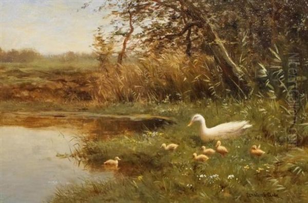 Moedereend Met Kuikentjes by David Adolph Constant Artz