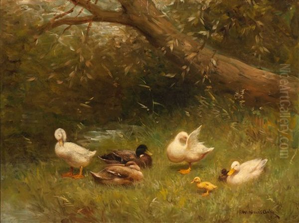 Family Of Ducks In The Grass by David Adolph Constant Artz