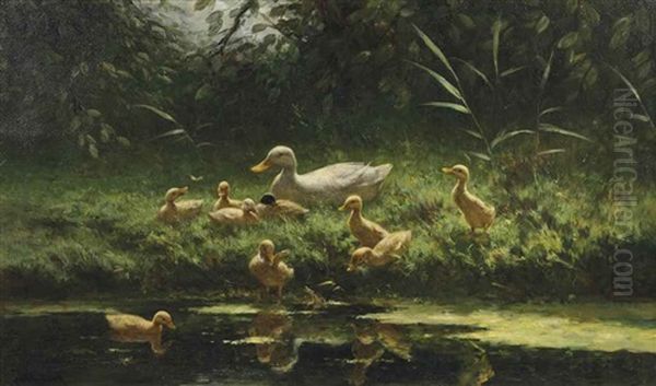 Ducklings On A Sunlit Riverbank Oil Painting by David Adolph Constant Artz