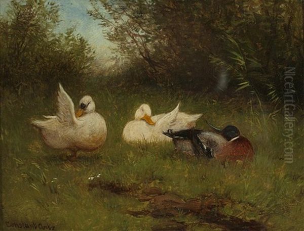 Preening Ducks Oil Painting by David Adolph Constant Artz