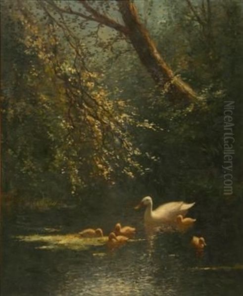 Ducks And Ducklings Oil Painting by David Adolph Constant Artz