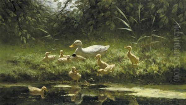 Ducklings On A Sunlit Riverbank Oil Painting by David Adolph Constant Artz