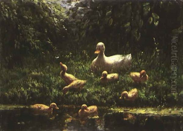 Weisse Ente Mit Nachwuchs Am Teich Oil Painting by David Adolph Constant Artz