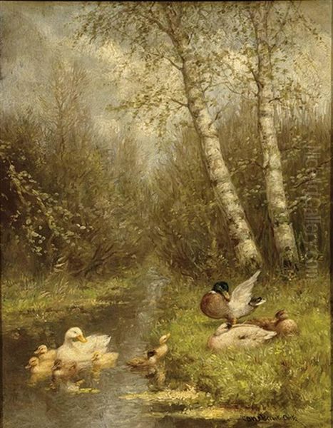 Ducks With Ducklings Oil Painting by David Adolph Constant Artz