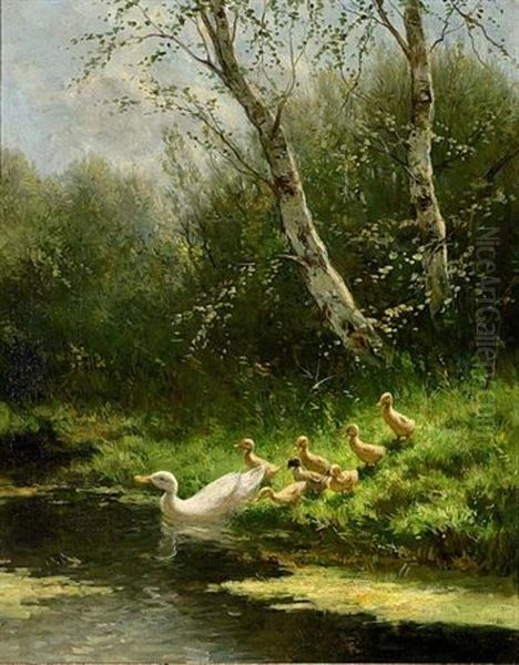 Duck With Ducklings Watering Oil Painting by David Adolph Constant Artz