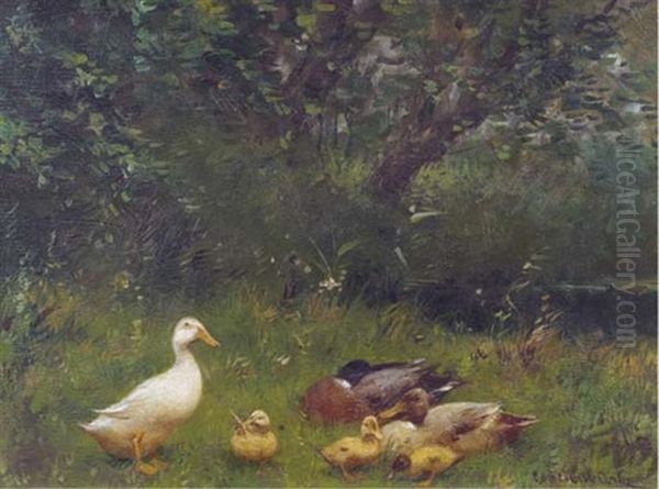 A Duck Family Near A Stream Oil Painting by David Adolph Constant Artz