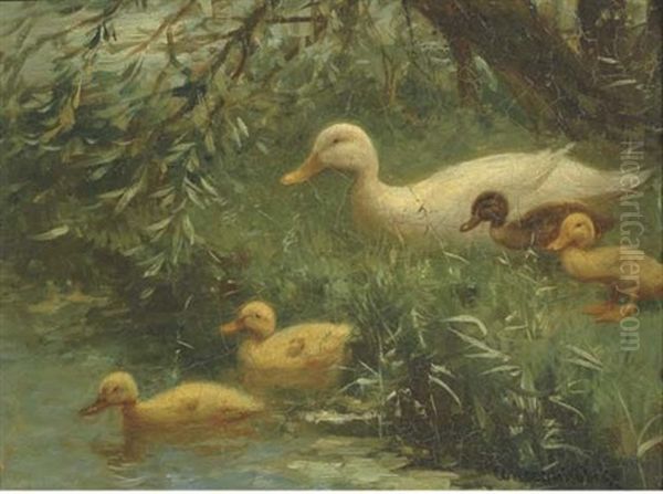 Ducklings With Their Mother At The Waterside Oil Painting by David Adolph Constant Artz