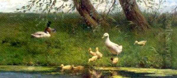 Ducks And Ducklings On A Riverbank Oil Painting by David Adolph Constant Artz