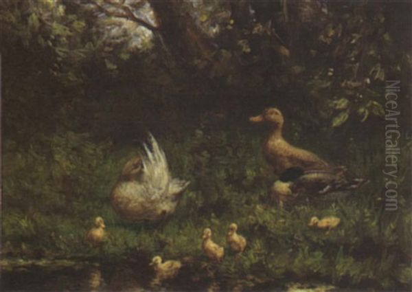 Ducks With Their Ducklings Near The Waterfront Oil Painting by David Adolph Constant Artz