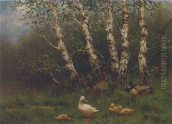 Ducks And Ducklings In A Meadow Oil Painting by David Adolph Constant Artz