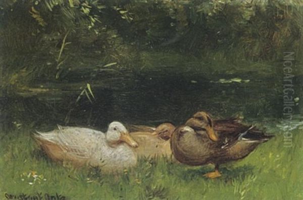 Ducks Near The Waterside Oil Painting by David Adolph Constant Artz