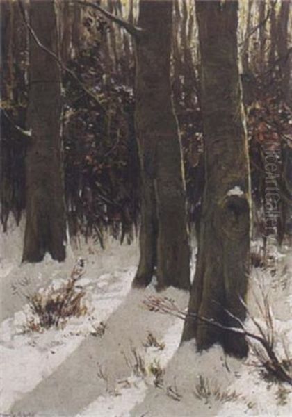 Trees In A Winter Landscape by David Adolph Constant Artz