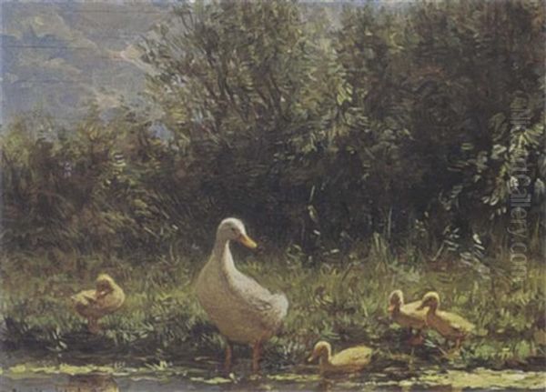 Duck With Her Ducklings On The Riverbank Oil Painting by David Adolph Constant Artz