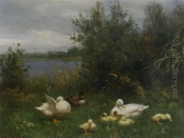 Ducks By The Waterside Oil Painting by David Adolph Constant Artz