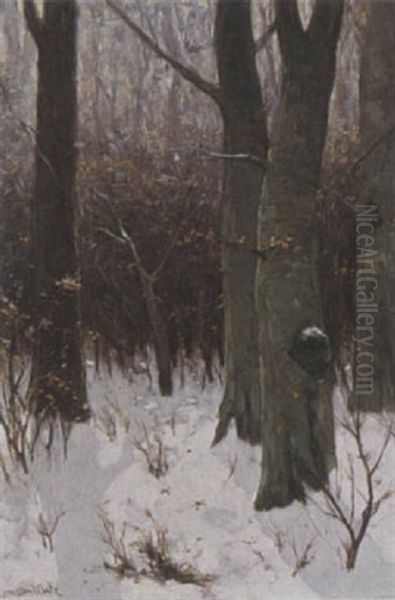 Trees In A Winter Landscape Oil Painting by David Adolph Constant Artz