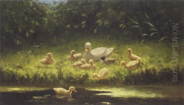 A Duck And Her Young On The River Bank Oil Painting by David Adolph Constant Artz