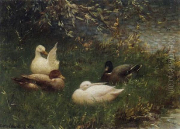 Ducks Along The Waterside Oil Painting by David Adolph Constant Artz