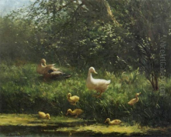 Ducks And Ducklings On A Sunlit Meadow by David Adolph Constant Artz