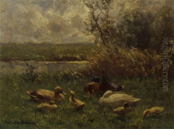 A Family Of Ducks Oil Painting by David Adolph Constant Artz