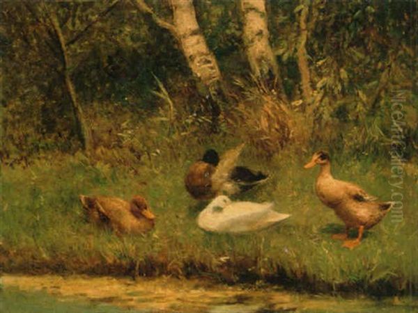 Four Ducks On A Riverbank Oil Painting by David Adolph Constant Artz