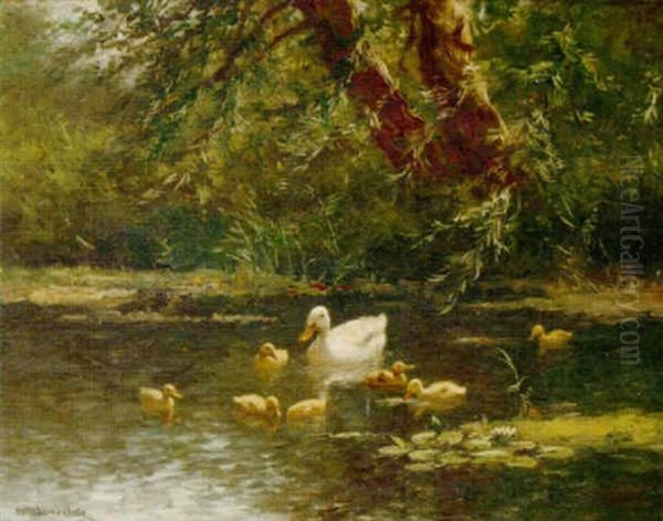 A Duck And Ducklings In A Sunlit Brook Oil Painting by David Adolph Constant Artz