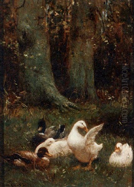 Ducks In The Grass Oil Painting by David Adolph Constant Artz