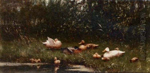 Ducks With Ducklings On A Riverbank Oil Painting by David Adolph Constant Artz