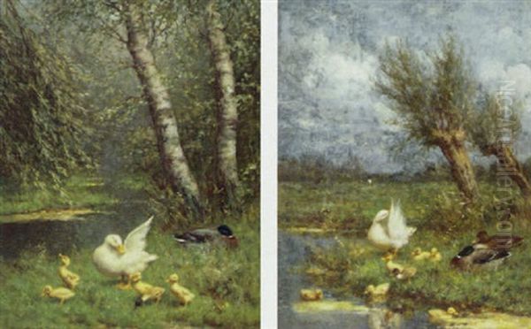 Ducks And Ducklings On River Banks by David Adolph Constant Artz