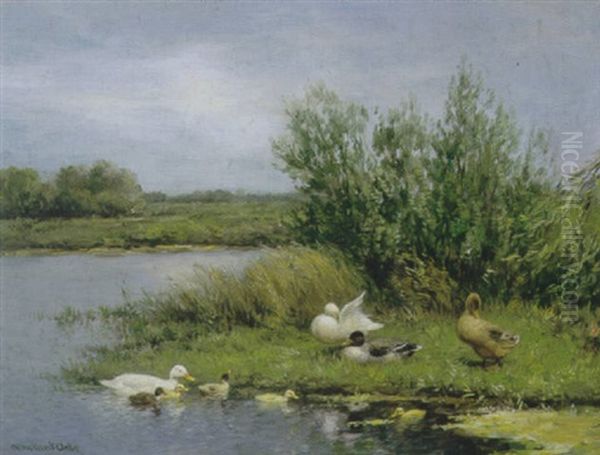 Eenden Met Kuikens Aan De Waterkant Oil Painting by David Adolph Constant Artz